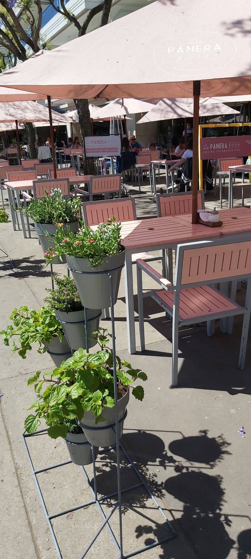 La Panera Rosa proyecto 3
